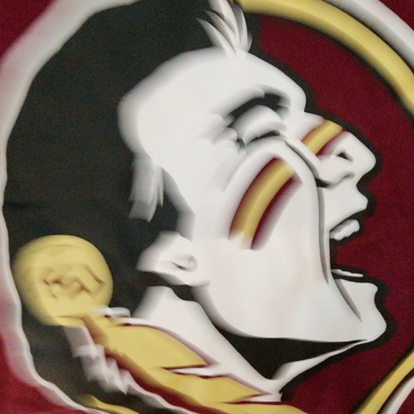 NEW Florida State Sportswear - Picture 12 of 12